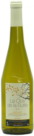 L'Aujardiere Muscadet Cotes de Grand Lieu Sur Lie le Clos de la Butte 2015