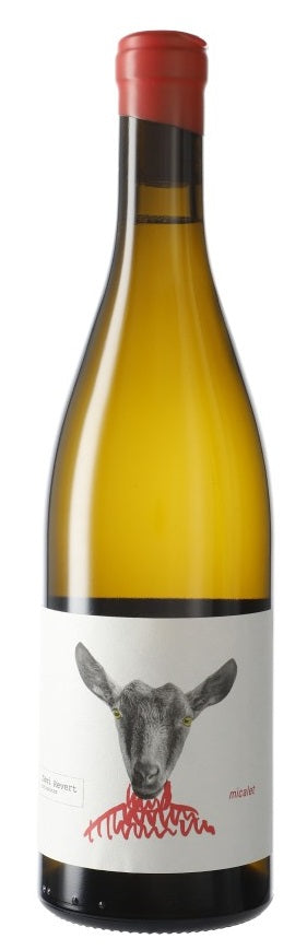Javier Revert Micalet 2019
