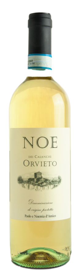 Paolo e Noemia d'Amico Noe Orvieto 2021