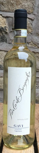 Pier Carlo Bergaglio Gavi 2020
