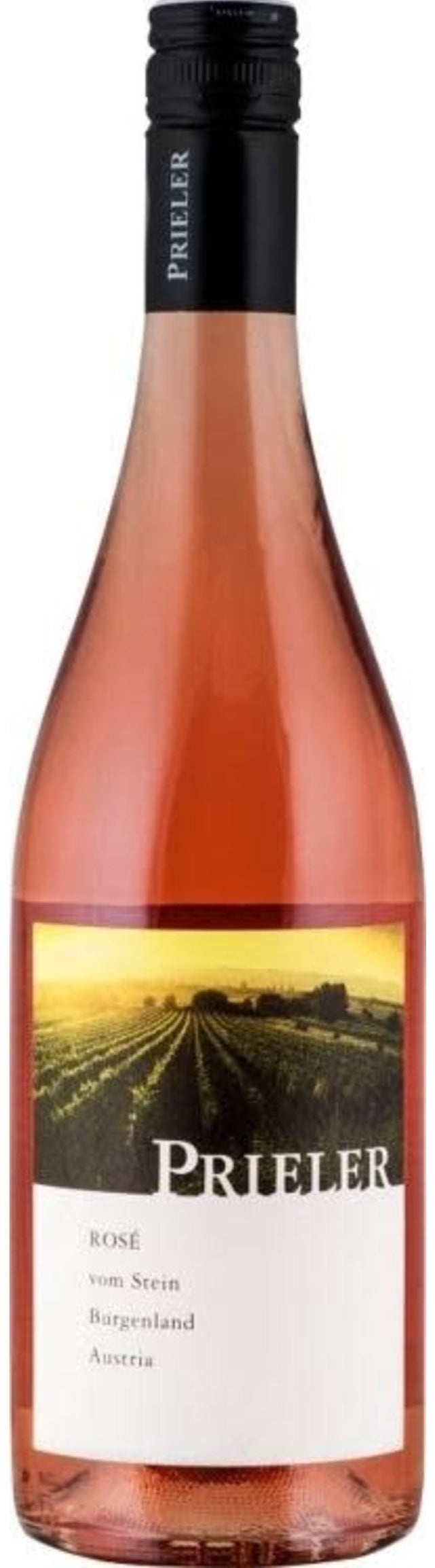 Rose vom Stein, Prieler 2020