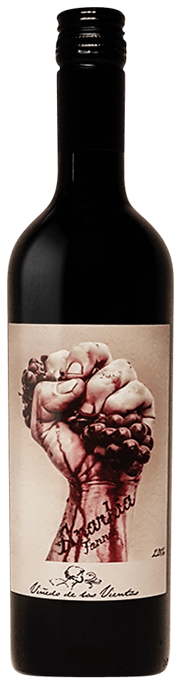 Tannat Sans Soufre 'Anarkia', Bodega Pablo Fallabrino 2020