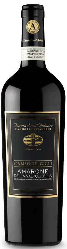 Tenuta Sant'Antonio Amarone della Valpolicella Campo dei Gigli 2013