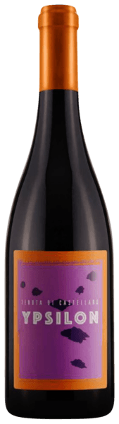 Tenuta di Castellaro Ypsilon IGT 2017 (750ml/12) 2017