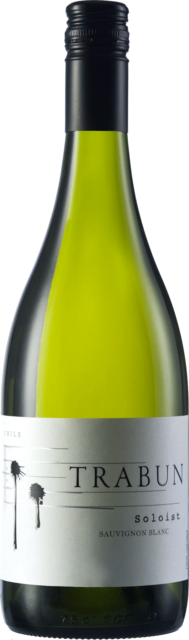 Trabun Sauvignon Blanc 'Soloist' Rapel, Requinoa 2021 2021