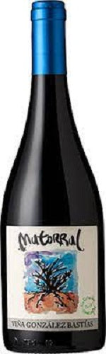 Viña González Bastias Pais Matorral 2019