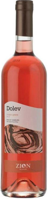 Zion Muscat Hamburg Dolev 2018