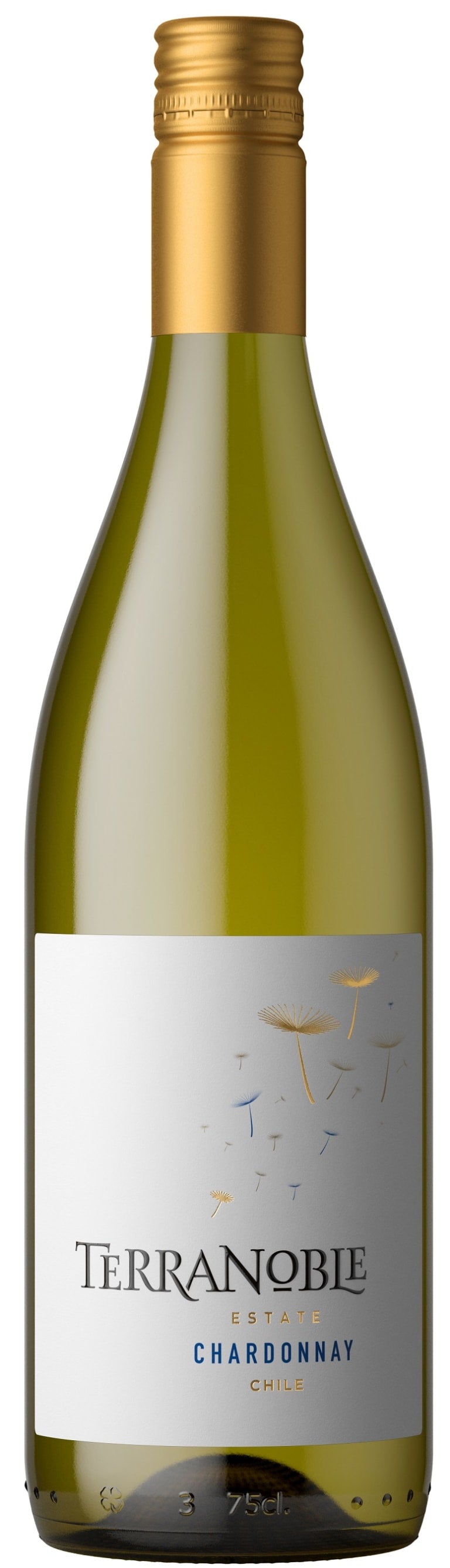 Terranoble Chardonnay 2019