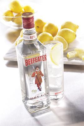 Beefeater Gin London Dry-Wine Chateau