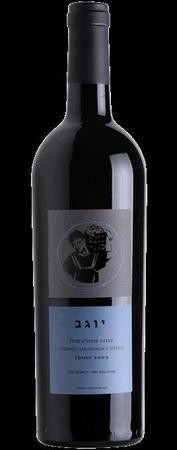 Binyamina Cabernet Sauvignon Merlot Yogev 2013-Wine Chateau
