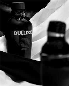 Bulldog Gin