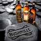 Bushmills Irish Whiskey 21 Year-Wine Chateau