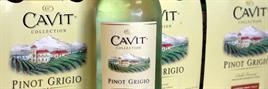 Cavit Pinot Grigio-Wine Chateau