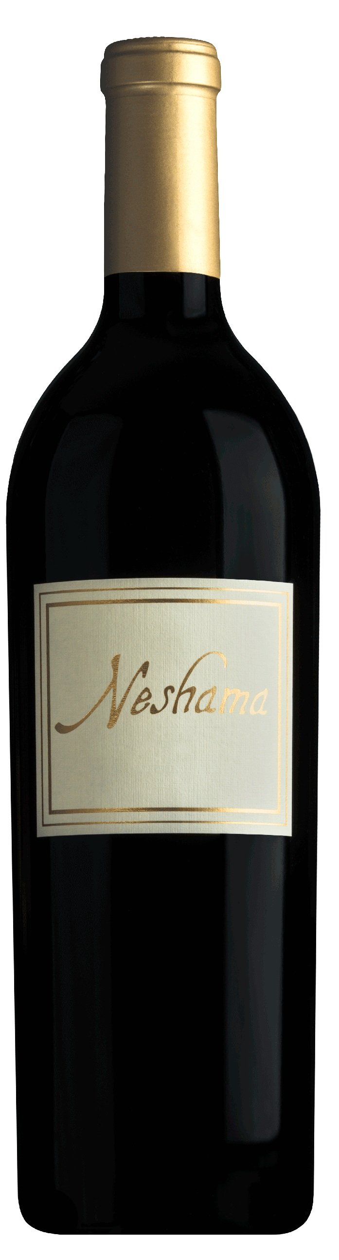 Covenant Neshama 2015