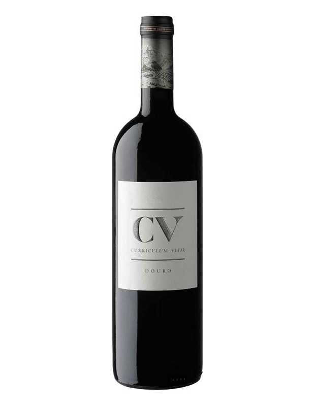 CV 17 CURRICULUM VITAE RED 3
