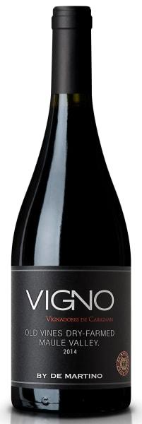de Martino Vigno 2014