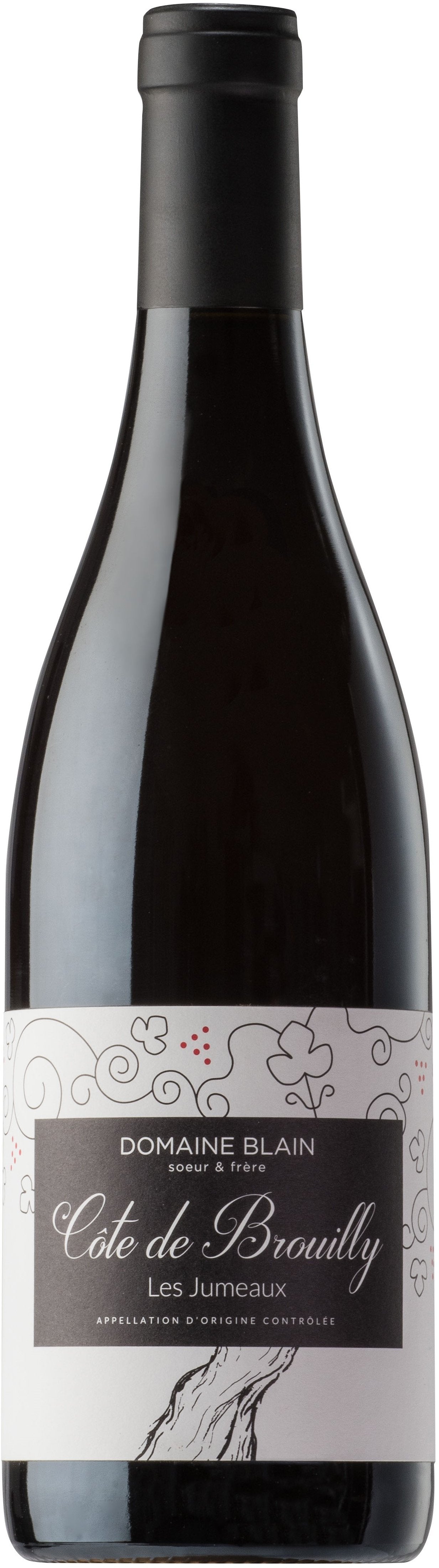 Domaine Blain Soeur et Frere Cote de Brouilly Les Jumeaux 2015