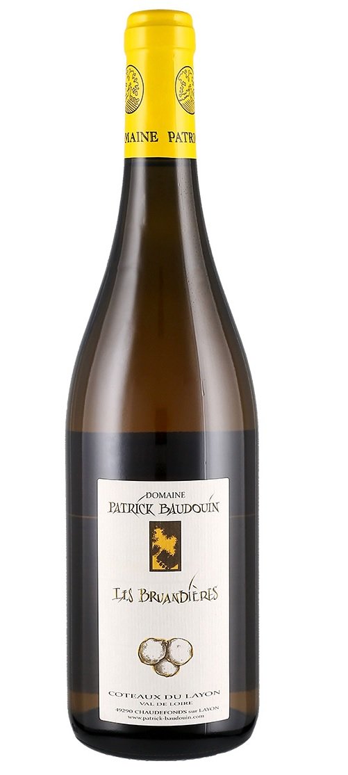 Domaine Patrick Baudouin Coteaux du Layon Les Bruandieres 2015