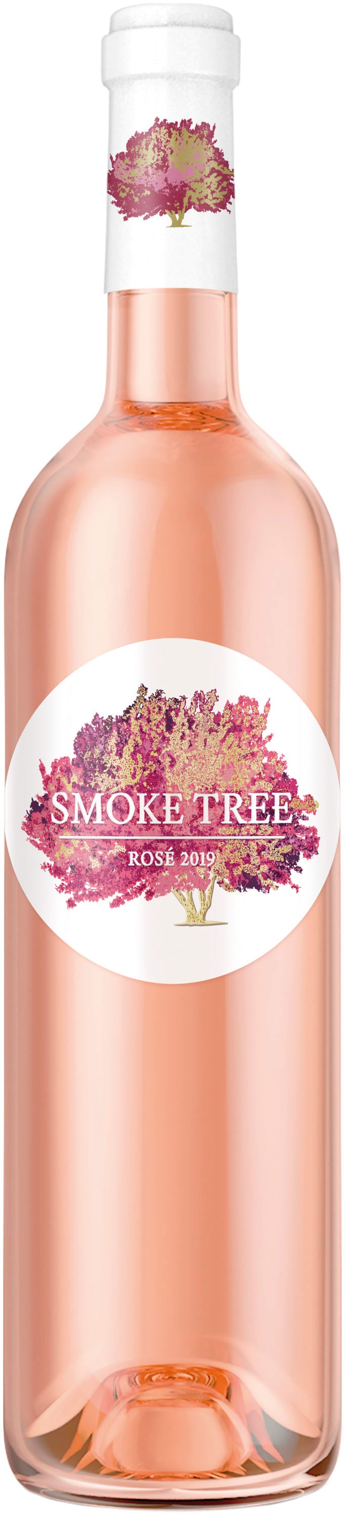 Smoke Tree Rose 2019