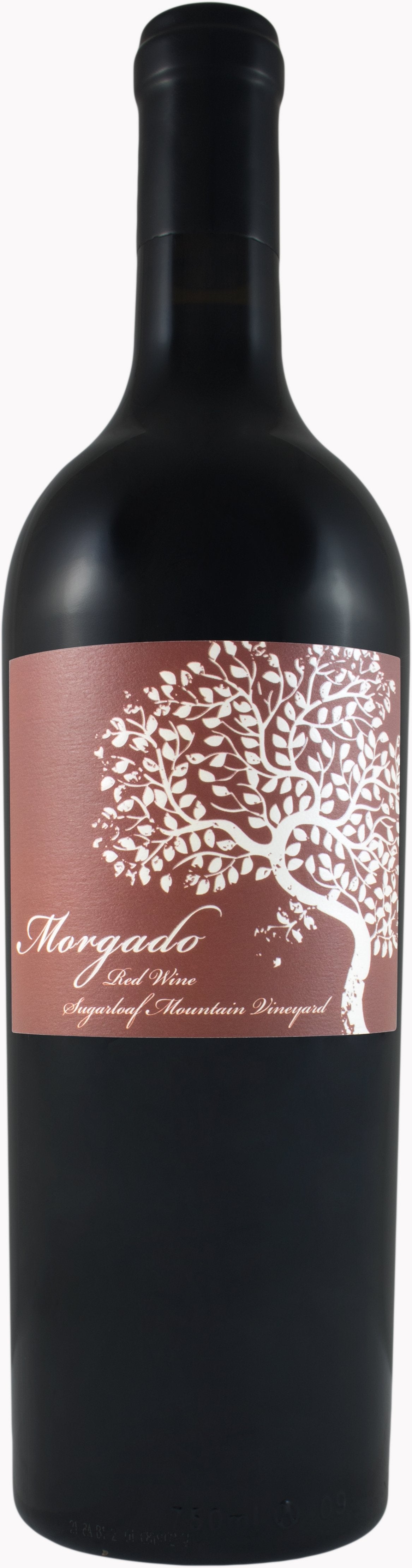 Morgado Sugarloaf Mountain 2016