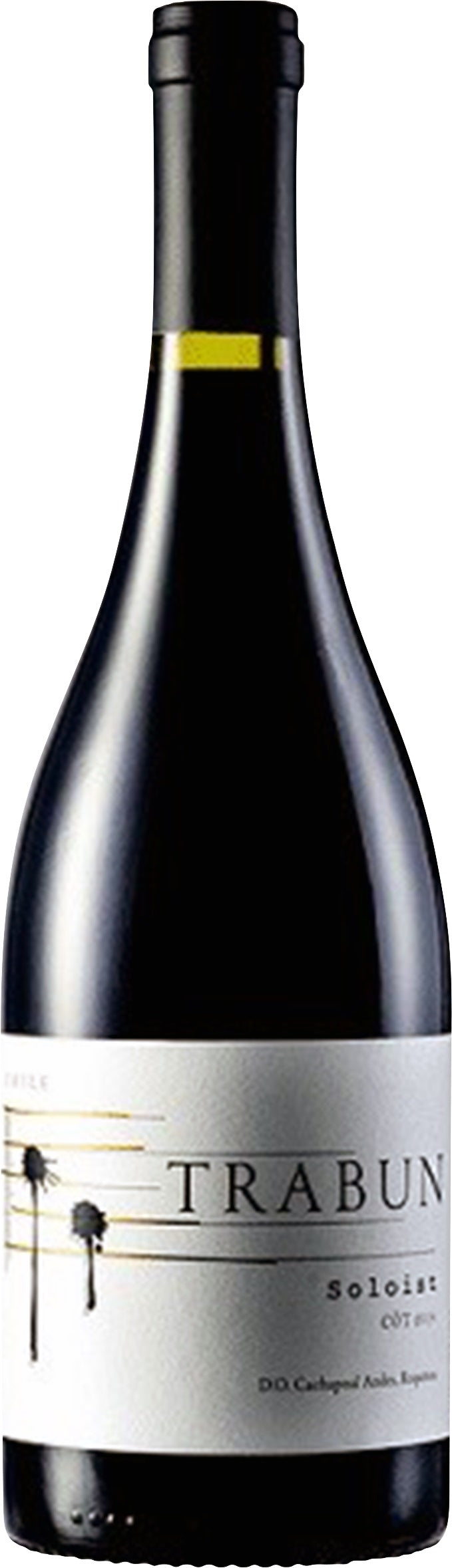 Trabun Syrah 'Soloist' Cachapoal Andes, Requinoa 2015 2015