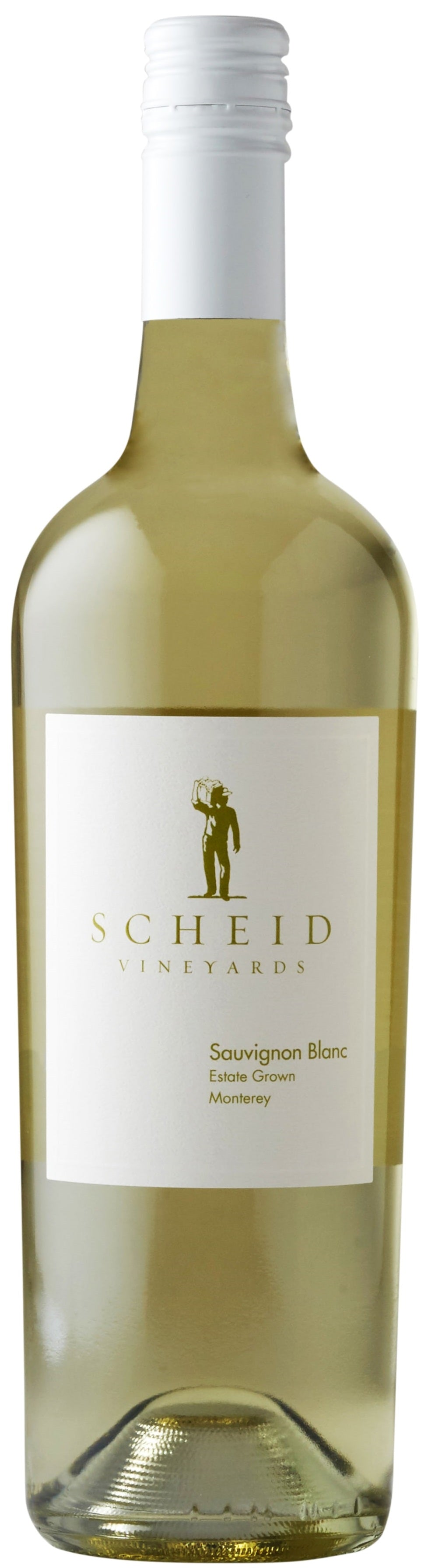 SCHEID VINEYARDS MONTEREY SAUVIGNON BLANC 2020