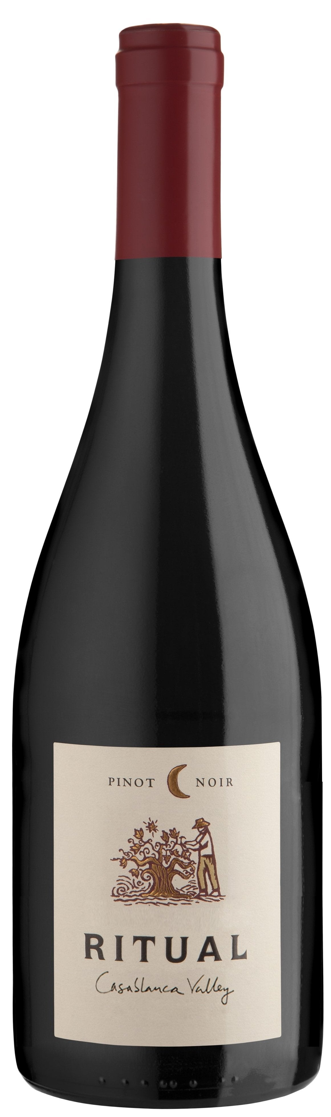 Ritual Pinot Noir 2016
