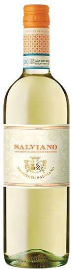 Salviano Orvieto Classico 2017