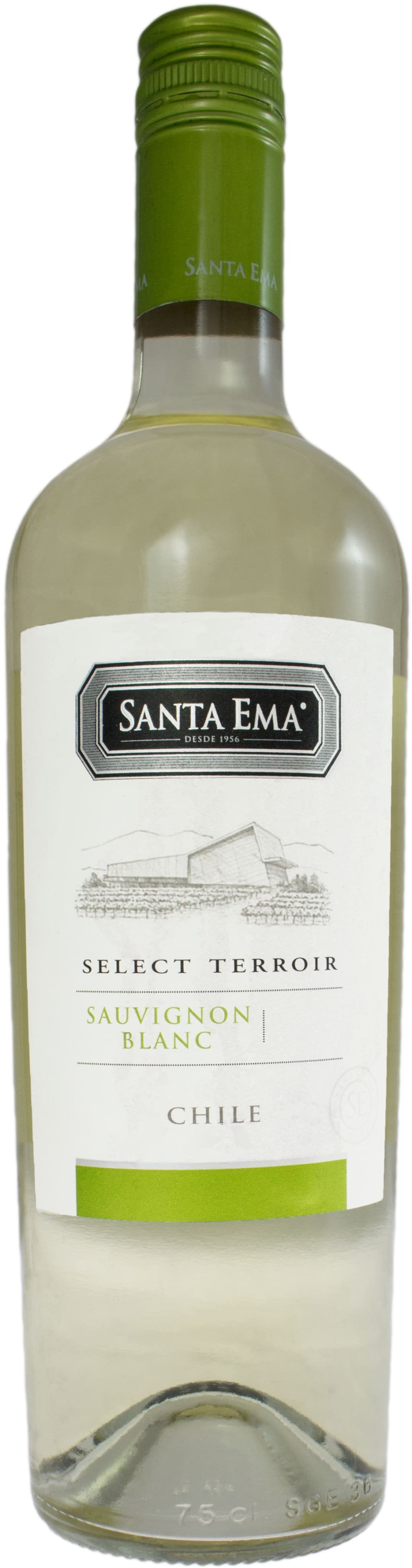 Santa Ema Sauvignon Blanc Select Terroir 2019