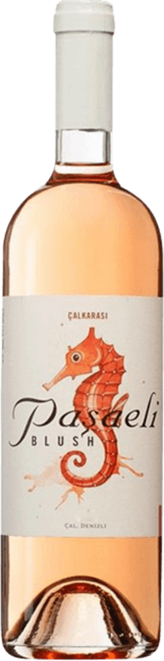 Calkarasi Rose 'Seahorse', Pasaeli 2020