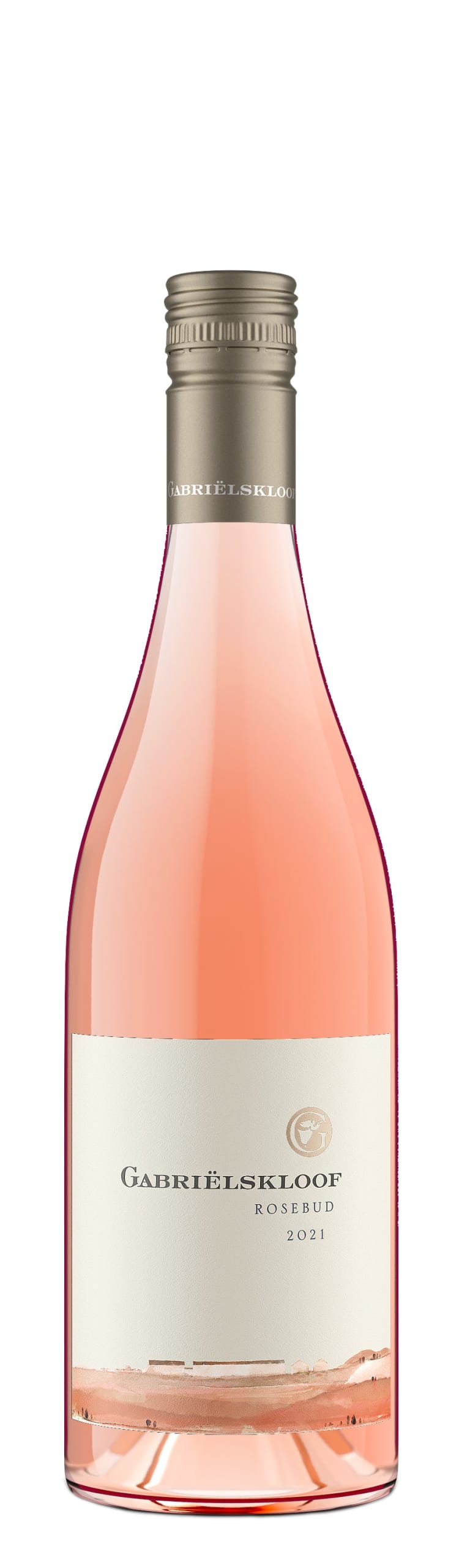 Rose 'Rosebud', Gabrielskloof 2021