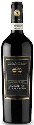 Tenuta Sant'Antonio Amarone della Valpolicella Campo dei Gigli 2015