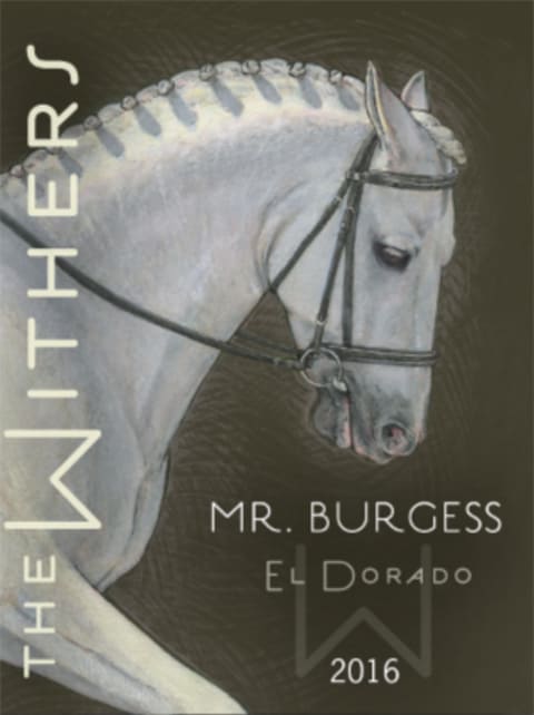 "Mr. Burgess", The Withers 2016