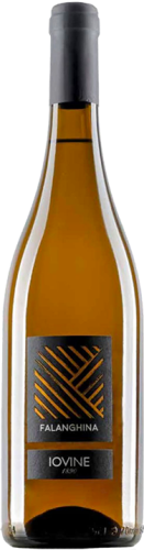 Falanghina Igt Campania, Iovine