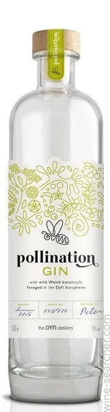 Dyfi Pollination Gin NV