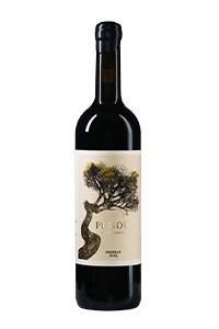 Costerduo Pi Nou de Costerduo (NO UPC) 2021