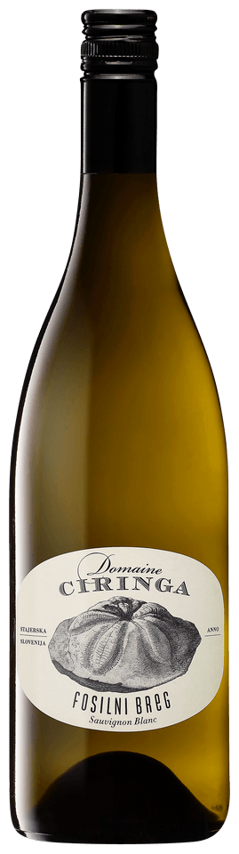 Fosilni Breg Sauvignon Blanc, Domaine Ciringa