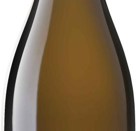 Tel Shifon - 915 Sauvignon Blanc 2023