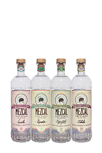 Gracias A Dios Wild Agave 4pk
