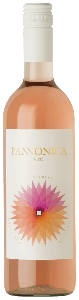 Hopler Rose 'Pannonica' 2025