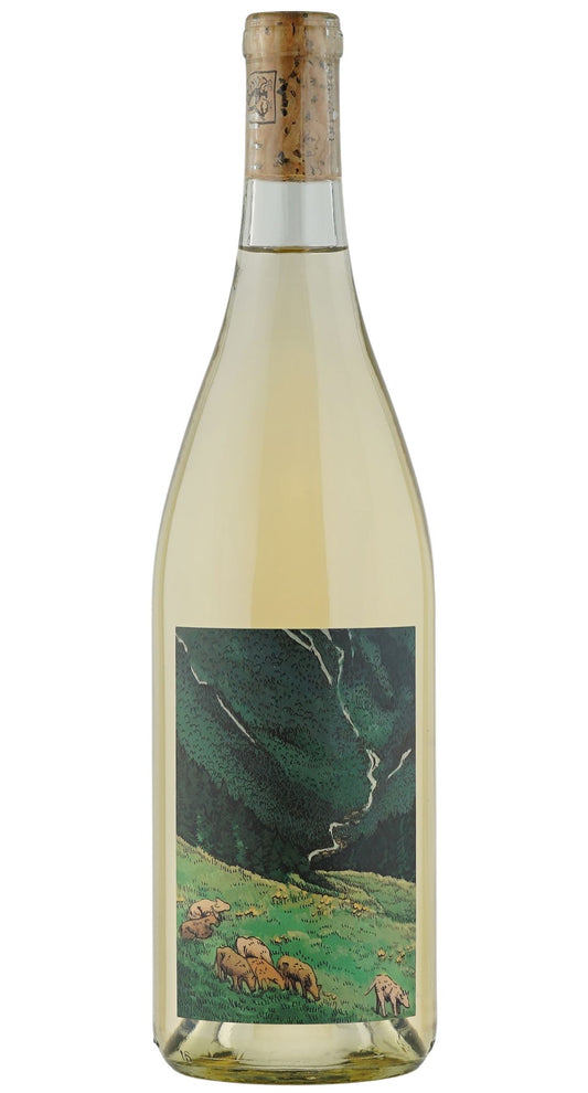 Kelley Fox Gruner Veltliner Willamette Valley 2025