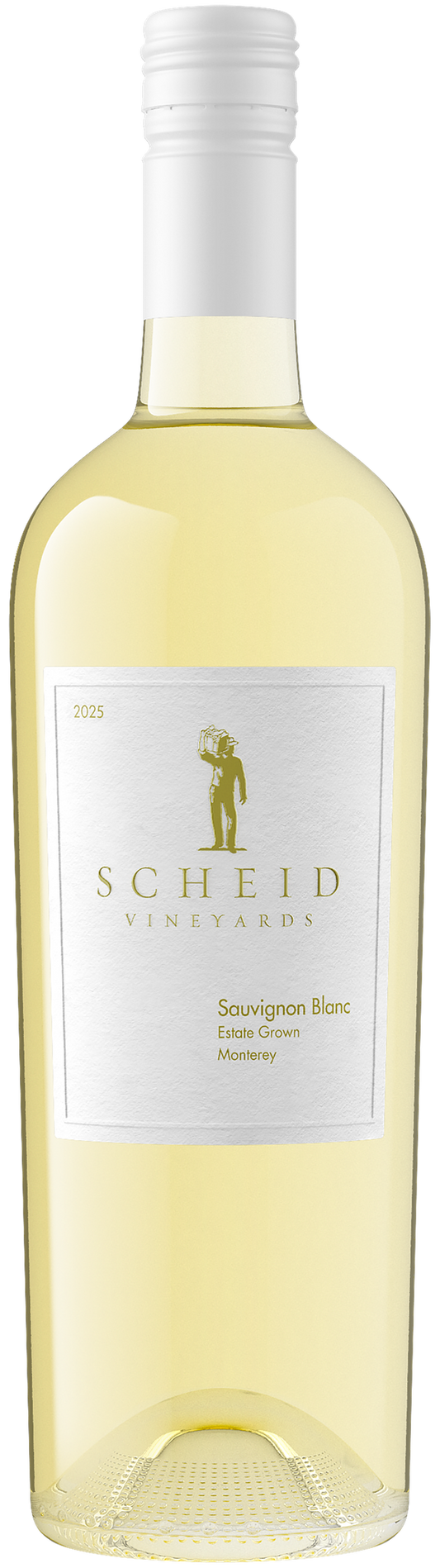 Scheid Sauvignon Blanc 2025