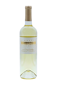 St Supery Muscat Canelli Dollarhide 2022