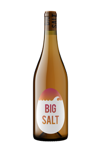 Big Salt Orange Rose 2025