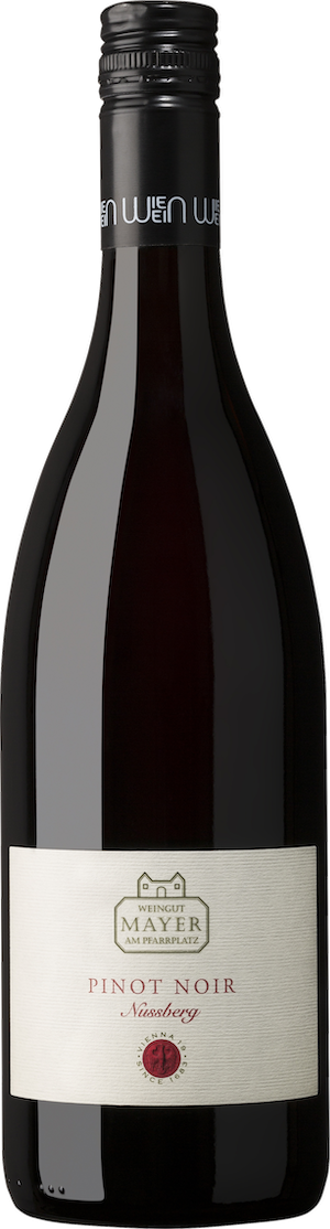 Mayer Am Pfarrplatz Pinot Noir Nussberg 2019