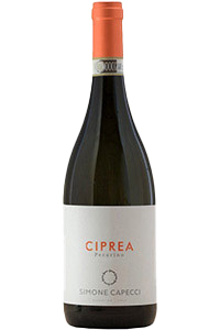 Simone Capecci Pecorino Ciprea Offica DOCG 2024