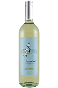 Pavolino Pinot Grigio 2025