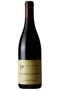 Domaine Castagnier Chambolle Musigny (NO UPC) 2022