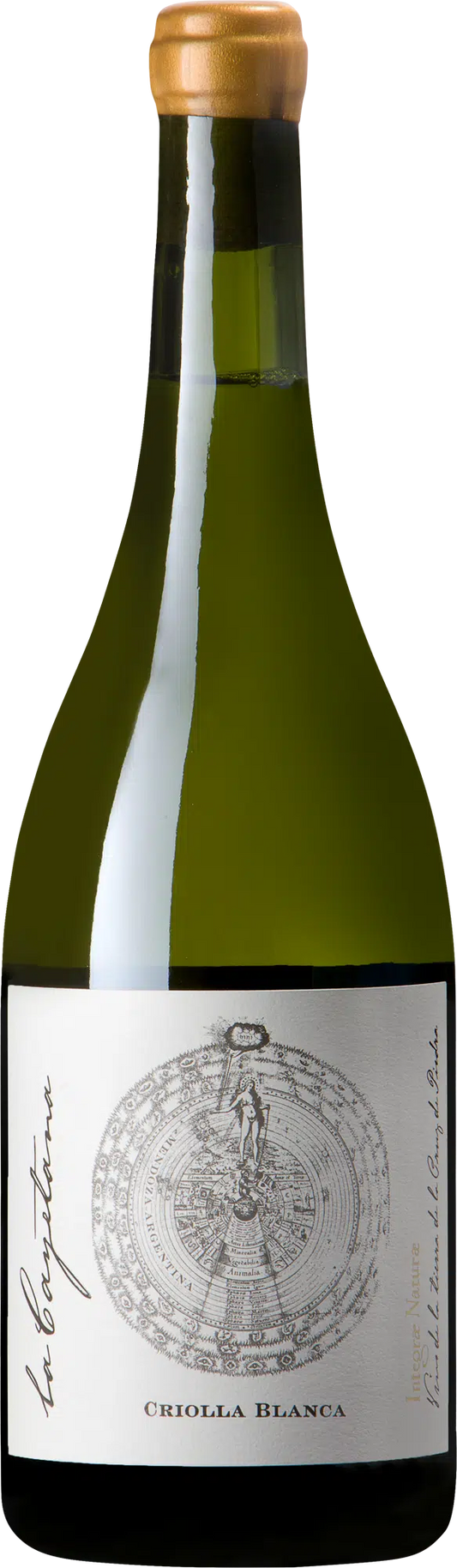 Criolla Blanca, La Cayetana
