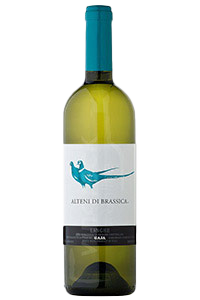 Gaja Sauvignon Blanc Alteni Di Brassica 2022